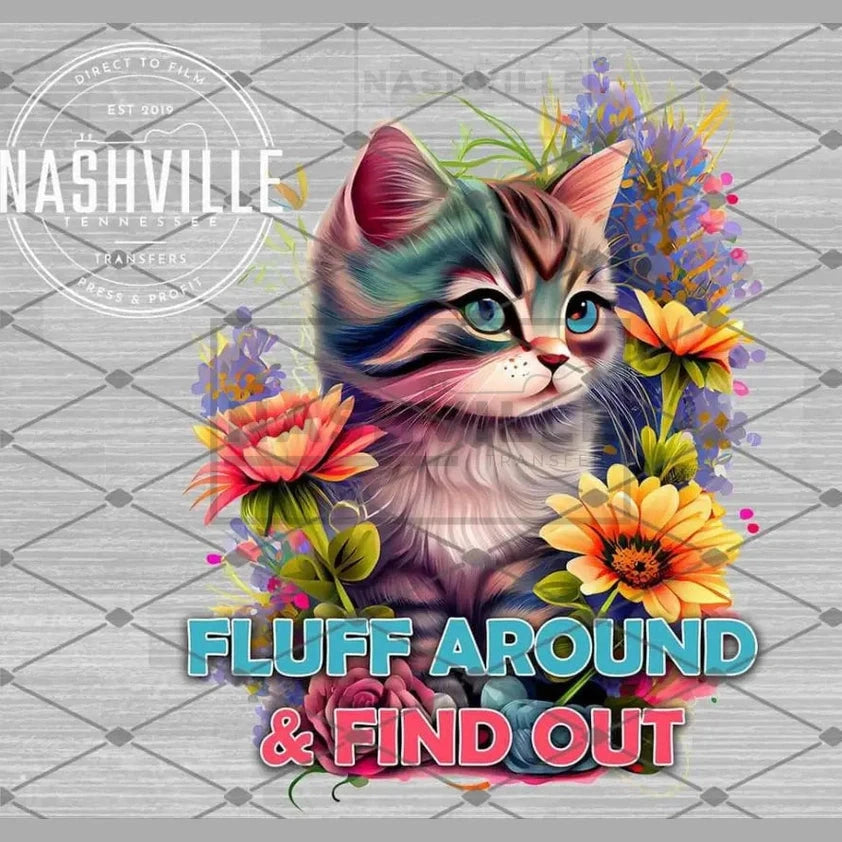 Fluff Around And Find Out Cute Kitten Transfer.