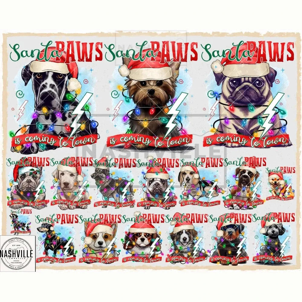 Santa Paws Transfer.
