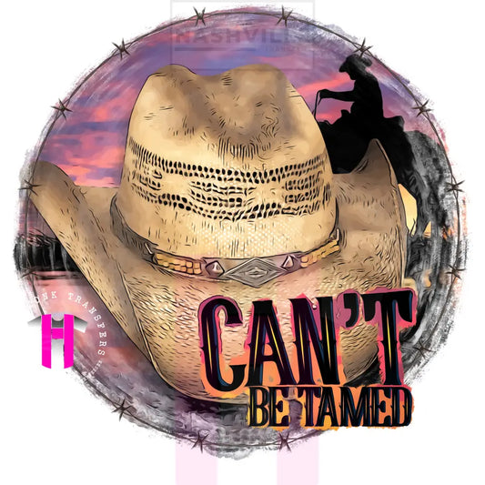 Can’t be tamed transfer.