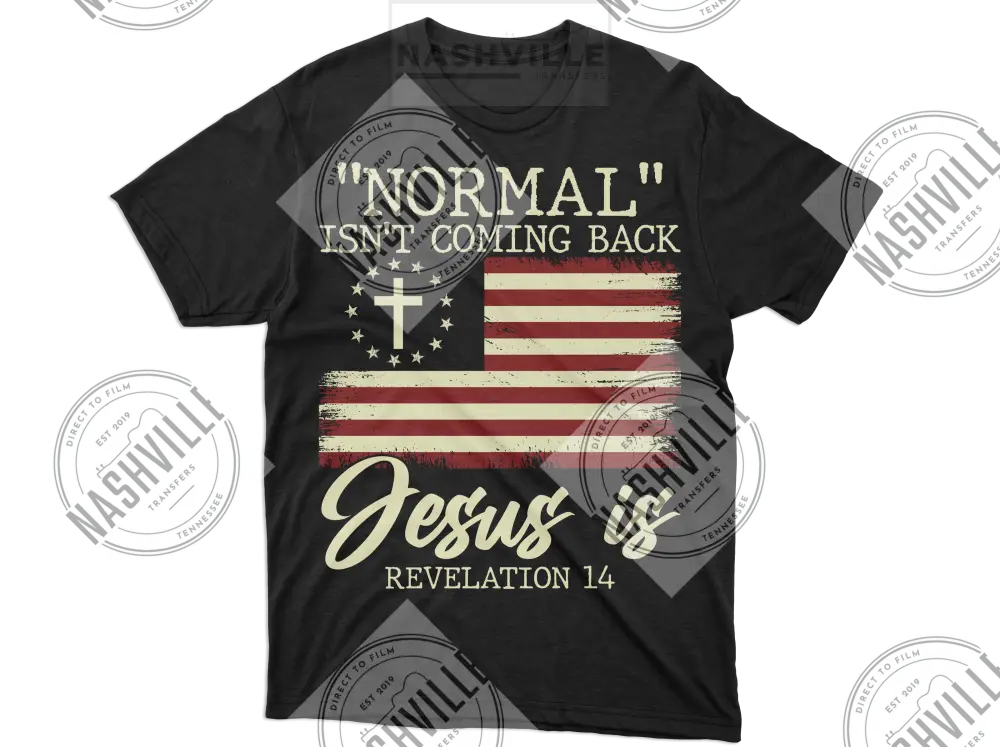 Normal Isnt Coming Back Tee.