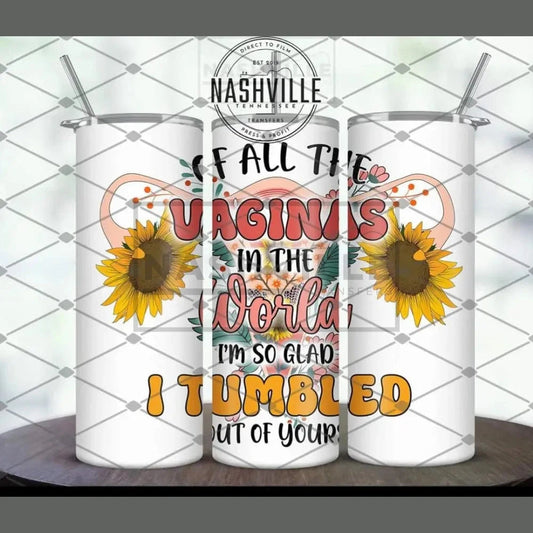 Of All The Vaginas In World Tumbler.