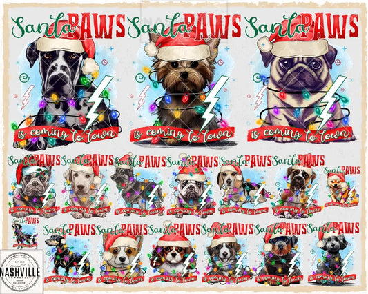 Santa Paws Transfer.